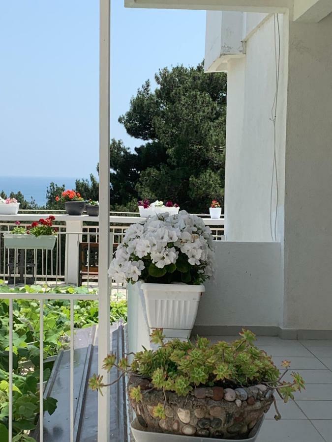 באר Apartments Ljiljana מראה חיצוני תמונה